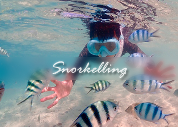 Snorkelling